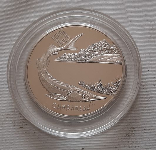 Днепро-Сожский. Стерлядь. 1 рубль 2007 г.