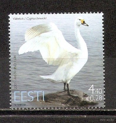 ФФ1 Эстония 2007 Лебедь стандарт