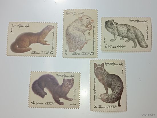 Распродажа коллекции с рубля ! Марки СССР  . Животные .