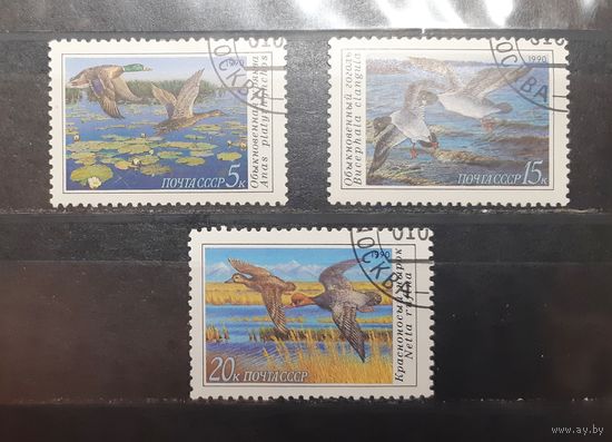 СССР. 1990 год. Фауна. Птицы. Утки (426)