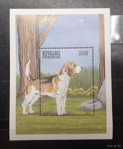 Центральная Африка. Фауна. Собаки (605)