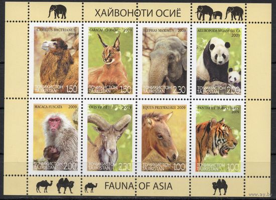 Таджикистан 2009. Фауна Азии слон, тигр, панда, верблюд, рысь, обезьяна, уриал(баран), лошадь Пржевальского малый лист (218)