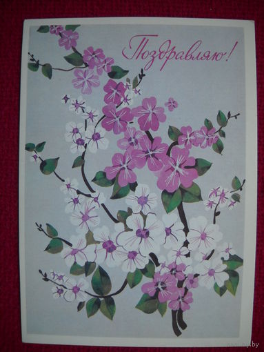 Поздравляю! Савельева. 1989 г. Чистая.