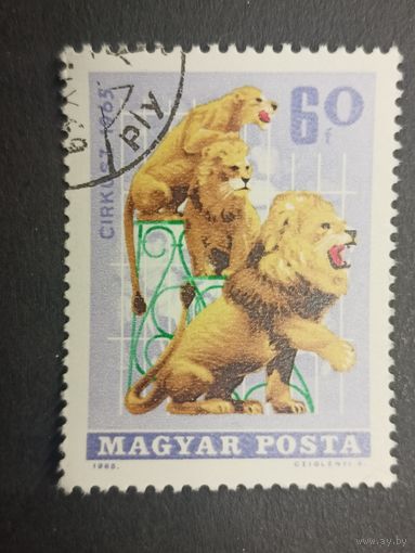 Венгрия 1965. Цирк