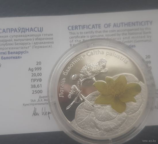 Монета, Лотать, 20 рублей. 999 пр. Банк. Лоты с рубля!