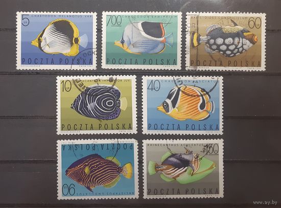 Польша. 1967 год. Рыбы. Фауна