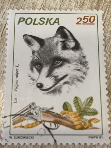 Польша 1981. Охота. Лиса. Марка из серии