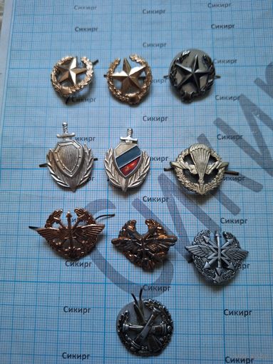 10 петличных эмблем РФ