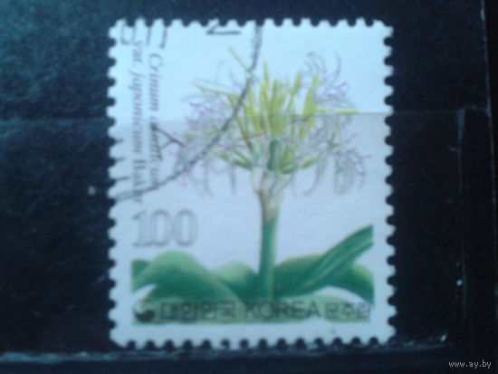 Южная Корея 2006 Стандарт, цветок