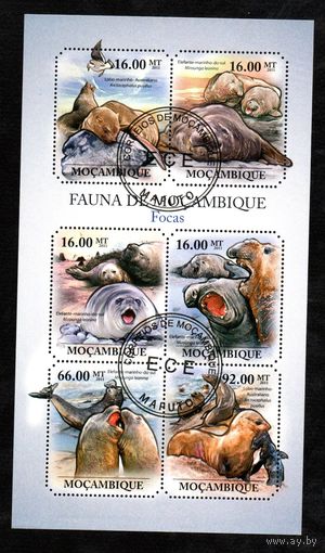 Морские животные Мозамбик 2011 год 1 блок