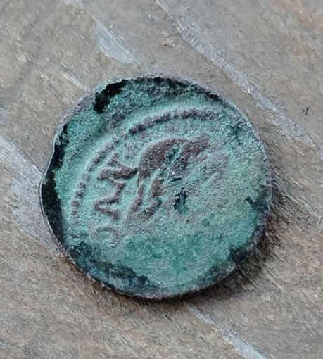 Баратинка инкузный брак