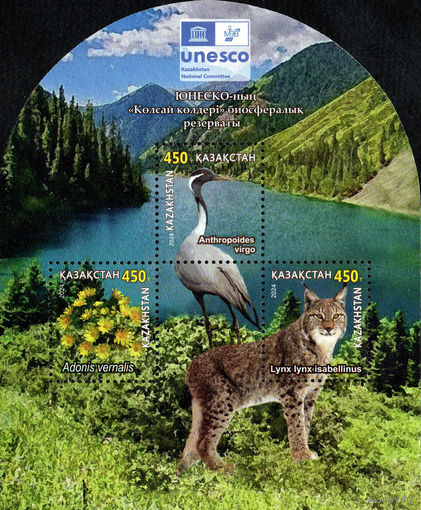 Казахстан 2024. Заповедник. Блок