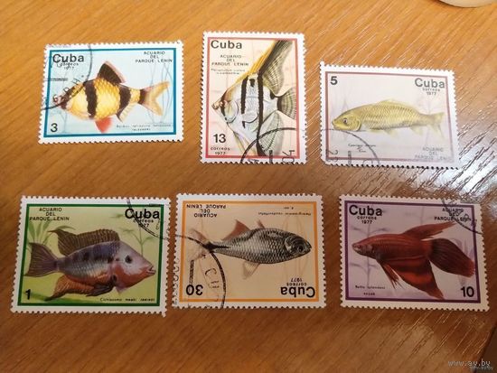 1977 Куба фауна рыбы (4-7)