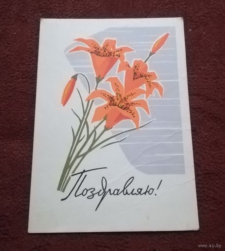 Открытка "Поздравляю" 1963г. подписанная худ. Н.К.Кутилов