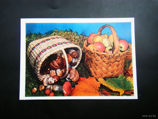Открытка с маркой из СССР 1980г.