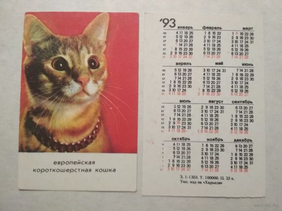 Карманный календарик. Котик.1993 год