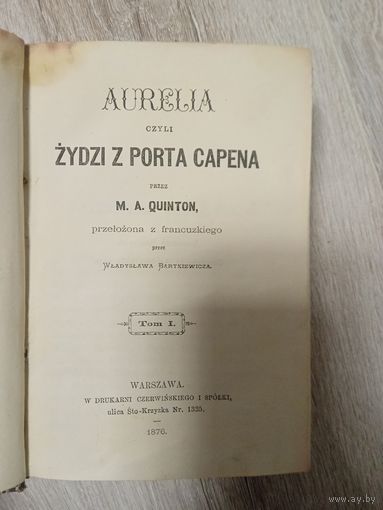 Книга польская 1876 года