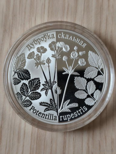 Лапчатка скальная. 20 рублей . Дуброўка скальная. 2017