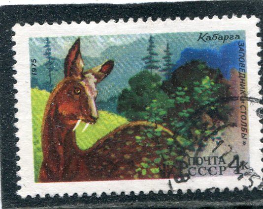 СССР 1975.. Фауна. Кабарга