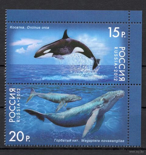 Россия 2012. Киты. 2м сцепка 1556-57 (907)