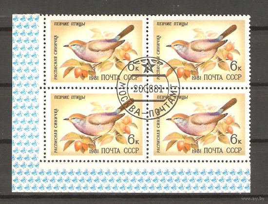СССР.Квартблок 1981.Расписная синичка.Певчие птицы.Состояние отличное.ГаШ.