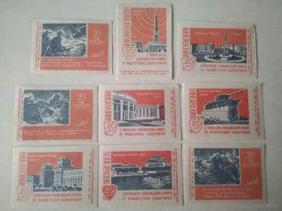 Спичечные этикетки ф.Борисов. 20 лет со дня освобождения Белоруссии. 1964 год