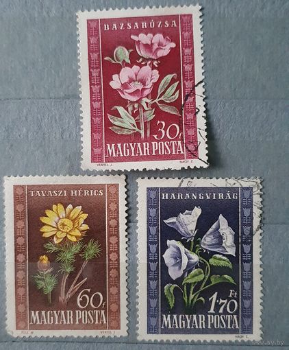 Венгрия цветы 3шт
