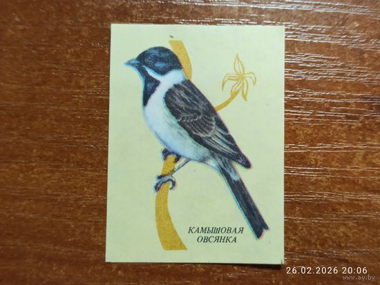 Спичечная этикетка Камышовая Овсянка