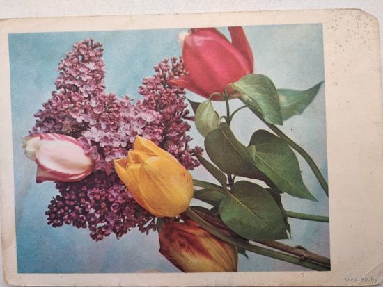 Открытка,почтовая карточка, 1966 г.,подписана