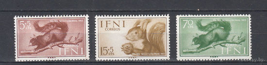 Фауна. Белки. Ифни. 1955. 3 марки. Michel N 154-156 (2,0 е)