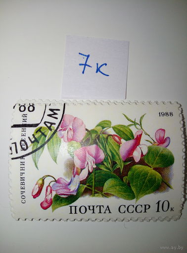 Марки СССР 1988 г. Сочевичник весенний 10к.