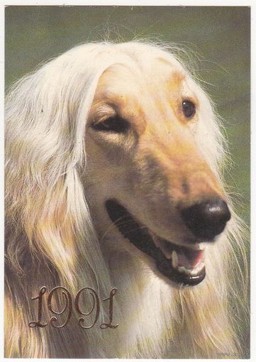 Календарик 1991 (58)