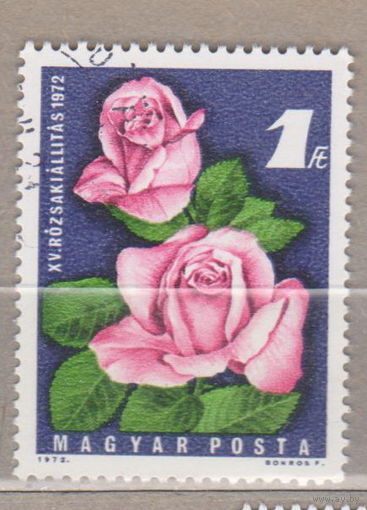 Розы цветы флора Венгрия 1972 лот 1038 ПОЛНАЯ СЕРИЯ