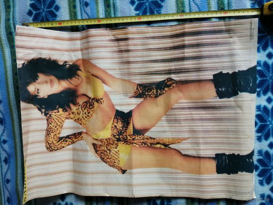 Плакат сабрина