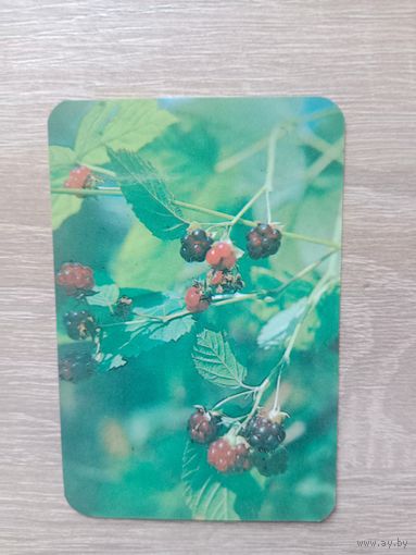 Календарик 1991