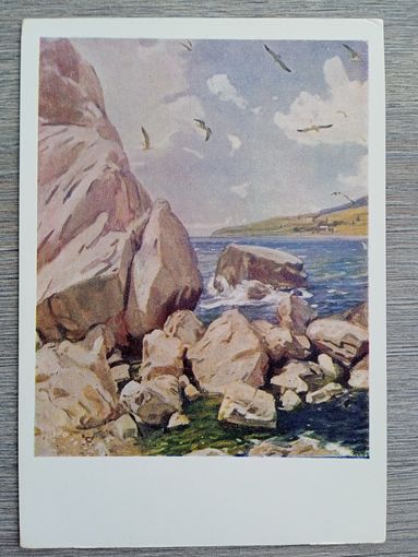 1957. Мелихов. Чайки