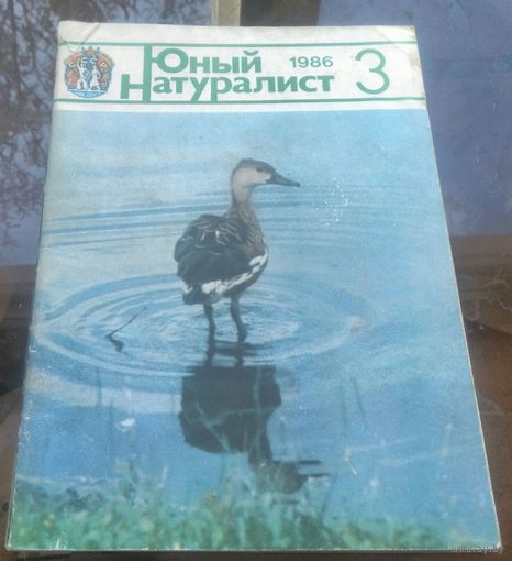 Юный натуралист 3-1986