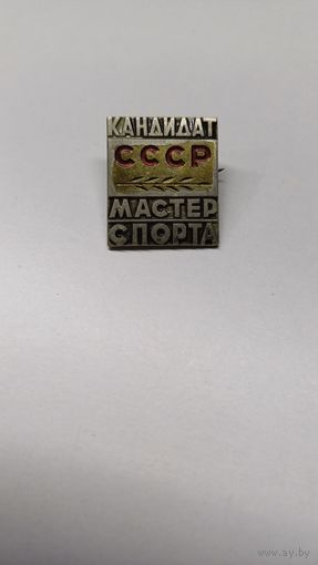 Кандидат мастер спорта СССР