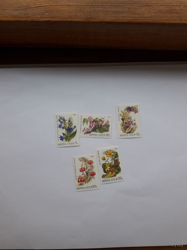 Марки СССР 1988 растения