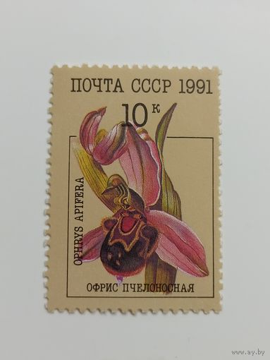 1991 СССР. Орхидеи. Офрис пчелоносная