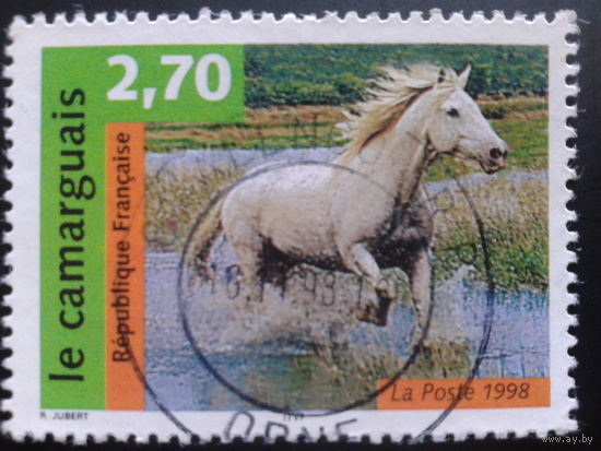 Франция 1998 конь