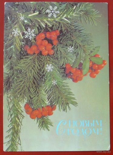 С новым годом! Чистая. 1987 года. Дергилева. 1078.