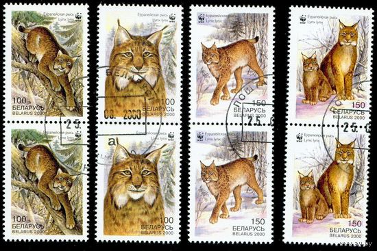Европейская рысь Беларусь 2000 год (384-387) серия из 4-х марок в сцепках по 2
