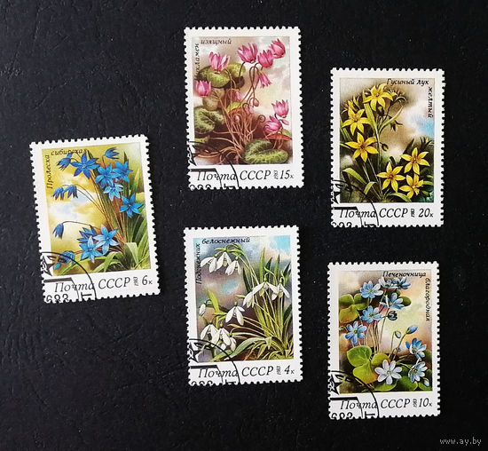 СССР 1983 г. Весенние цветы. Флора, полная серия из 5 марок #0181-Ф1P35