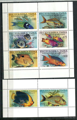 Республика Тыва - 1995 - Рыбки - (пятна на клее) - 2 малых листа. MNH.  (Лот 58JN)-T4P13