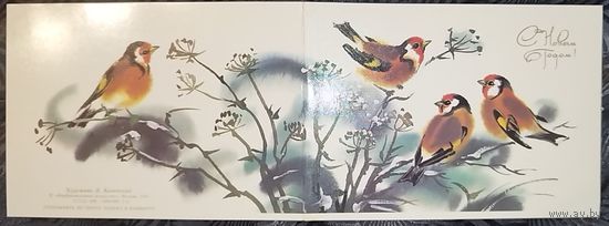 Каневский. ЧИСТАЯ. 1987