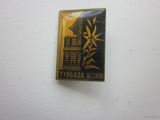 Знак турбаза ясиня.(латунь)