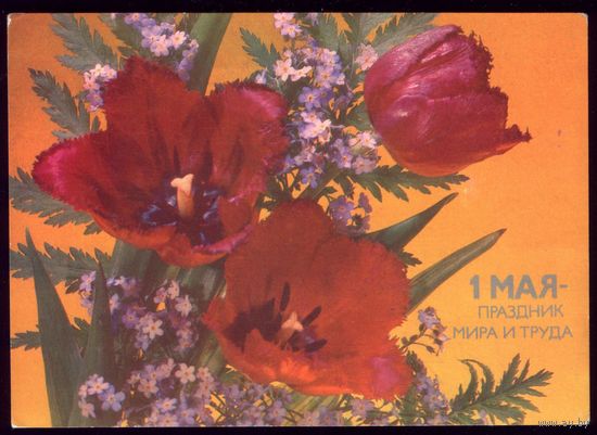 1986 год И.Дергилёв 1 мая - праздник мира и труда