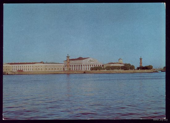 1977 год Ленинград Стрелка Васильевского острова