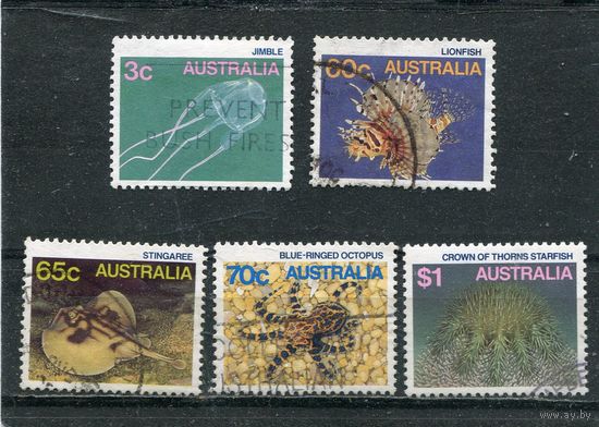 Австралия. Морская фауна